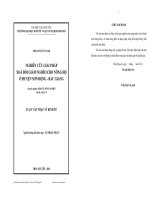 Nghiên cứu giải pháp xóa đói giảm nghèo cho nông hộ ở huyện Sơn Động tỉnh Bắc Giang