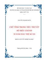 chữ tình trong tiểu thuyết hồ biểu chánh 30 năm đầu thế kỉ xx