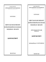 Nghiên cứu khả năng phát triển hộ nông dân theo hướng sản xuất hàng hoá ở huyện đồng hỷ  thái nguyên