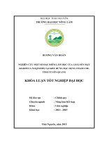 Nghiên cứu một số đặc điểm lâm học của loài sến mật madhuca pasquieri tại khu rừng đặc dụng cham chu   tỉnh tuyên quang 