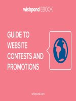 website contests and promotions