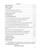 SKKN: Ứng dụng đa hình thức lồng ghép để phát triển năng lực học sinh trong dạy học Lịch sử (đạt cấp Tỉnh).