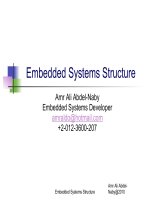 Embedded systems structure 