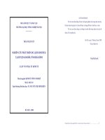 Nghiên cứu phát triển du lịch sinh thái tại huyện Kim Bôi, tỉnh Hoà Bình