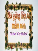 Bài giảng điện tử mầm non lớp Chồi đề tài Thơ cây dây leo