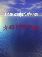 Bài giảng điện tử mầm non lớp Mầm đề tài Các hiện tượng tự nhiên