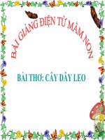 Bài giảng điện tử mầm non lớp Chồi đề tài Thơ cây dây leo