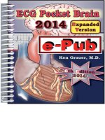 ecg pocket brain 2014, e-pub
