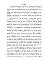 ĐỀ ÁN Nâng cao hiệu quả xây dựng nông thôn mới trên địa bàn tỉnh Quảng Nam