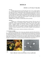 Seminar  biofilm DBCL ATTP (5 2013)