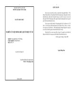 NGHIÊN CỨU HỆ THỐNG BIỂU QUYẾT ĐIỆN TỬ SỐ