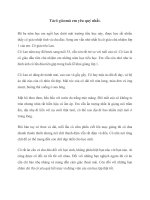 Tả cô giáo mà em yêu quý nhất