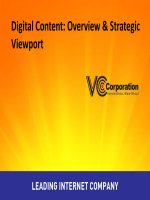 Digital content: overview and stratergic