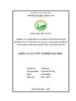 Nghiên cứu ảnh hưởng của chế độ tưới nước đến sinh trưởng của cây tông dù  giai đoạn vườn ươm tại trường đại học nông lâm thái nguyên