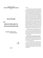 NGHIÊN CỨU PHÁT TRIỂN HOẠT ĐỘNG TƯ VẤN,  MÔI GIỚI CHUYỂN GIAO CÔNG NGHỆ Ở VIỆT NAM