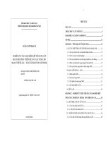 Nghiên cứu Giao diện Kết nối Khả năng Dịch vụ Gia tăng Mạng