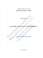 (LUẬN VĂN THẠC SĨ KHOA HỌC) TỔNG HỢP CÁC DẪN XUẤT CỦA PICHROMENE 1