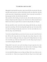 Tả cảnh khu vườn vào xuân