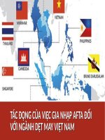 TÁC ĐỘNG CỦA VIỆC GIA NHẬP AFTA ĐỐI VỚI NGÀNH DỆT MAY VIỆT NAM