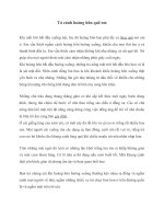 Tả cảnh hoàng hôn quê em