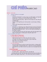 CHÍ PHÈO  ( NAM CAO) PHÂN TÍCH TÁC GIẢ NAM CAO