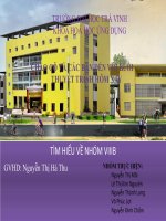 Bài thuyết trình Tìm hiểu về nhóm VIIIB