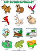 pets esl picture dictionary worksheet