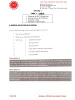 IELTS b writing 1 handout