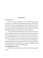 Hiệu quả ứng dụng mạng xã hội và viral marketing trong hoạt động marketing điện tử.