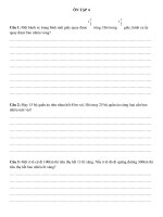 ÔN tập 4 _Toán tỉ lệ_Toán phân số của một số