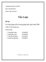 Tiểu luận môn luật cạnh tranh đề tài các biện pháp chế tài trong pháp luật cạnh tranh 2004