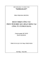 Hoàn thiện công tác phân tích hiệu quả hoạt động tại công ty cổ phần ĐANA