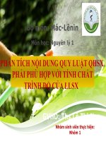 PHÂN TÍCH NỘI DUNG QUY LUẬT QHSX  PHẢI PHÙ HỢP VỚI TÍNH CHẤT TRÌNH ĐỘ CỦA LLSX