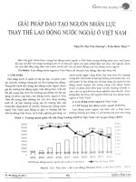 tổng hợp nhiều bài nghiên cứu về giáo dục và nguồn nhân lực việt nam