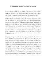 Tả lại hình dáng và công việc của một chị lao công