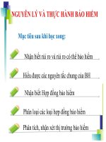 SLIDE BÀI GIẢNG NGUYÊN LÝ VÀ THỰC HÀNH BẢO HIỂM