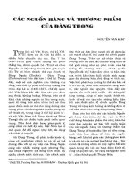 CÁC NGUỒN HÀNG VẰ THƯƠNG PHẨM  CỦA ĐÀNG TRONG