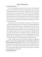 skkn phát triển năng lực tư duy cho học sinh thông qua dạy học chủ đề diện tích tam giác và hệ thức lượng trong tam giác vuông 