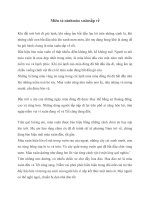 Miêu tả cảnh mùa xuân sắp về