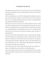 Tả một phiên chợ vùng cao