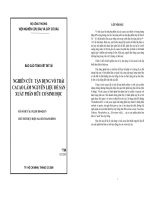 NGHIÊN CỨU TẬN DỤNG VỎ TRÁI CACAO LÀM NGUYÊN LIỆU ĐỂ SẢN XUẤT PHÂN HỮU CƠ SINH HỌC