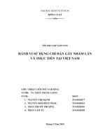 Tiểu luận môn luật cạnh tranh đề tài hành vi sử dụng chỉ dẫn gây nhầm lẫn