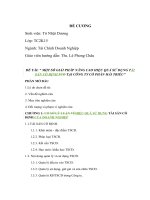 Đề cương tô nhật dương đã sửa 