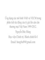 Ứng dụng các mô hình VAR và VECM trong  phân tích tác động của tỷ giá lên cán cân  thương mại Việt Nam 19992012