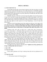 Tóm tắt luận văn thạc sỹ: Nghiên cứu chế tạo gelatinase tái tổ hợp và đánh giá đặc tính của enzyme