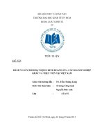 Tiểu luận môn luật cạnh tranh đề tài hành vi gây rối hoạt động kinh doanh của các doanh nghiệp khác và thực tiễn tại việt nam