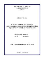 Tổ chức thông tin kế toán phục vụ phân tích tài chính tại công ty cổ phần trường sơn