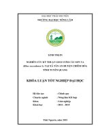 Nghiên cứu kỹ thuật gieo ươm cây sơn ta rhus succedanea l tại xã tân an   huyện chiêm hóa   tỉnh tuyên quang 