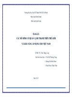 Tiểu luận môn luật cạnh tranh đề tài các mô hình cơ quan cạnh tranh trên thế giới và khả năng áp dụng tại việt nam