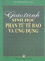 Giáo trình sinh học phân tử tế bào và ứng dụng. võ thị phương Lan